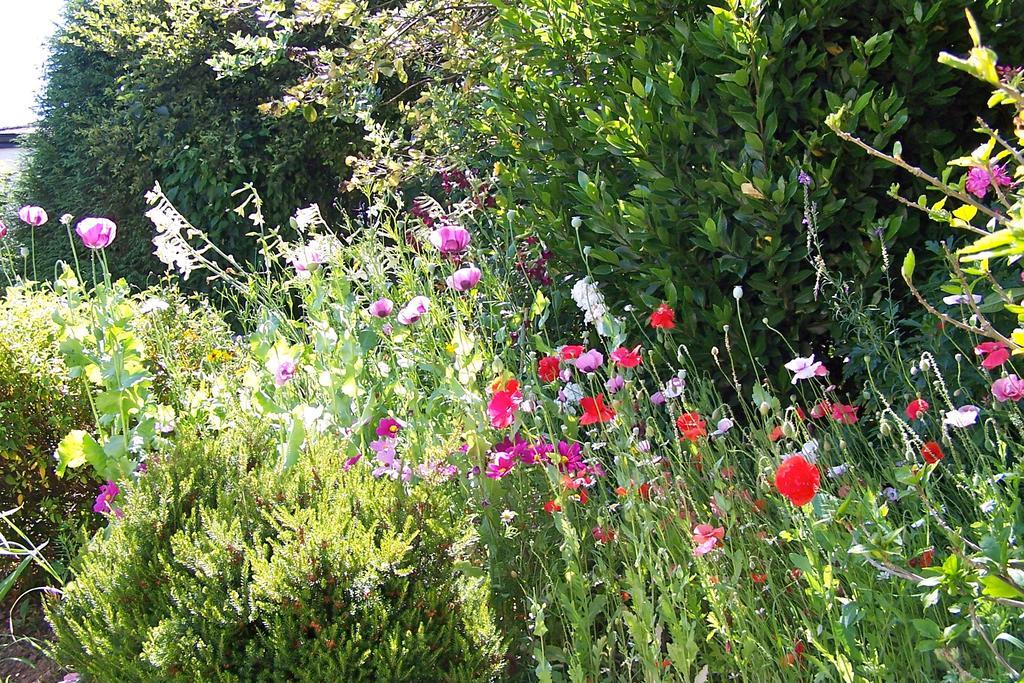 Anchorage Guest House Brixham Exteriér fotografie